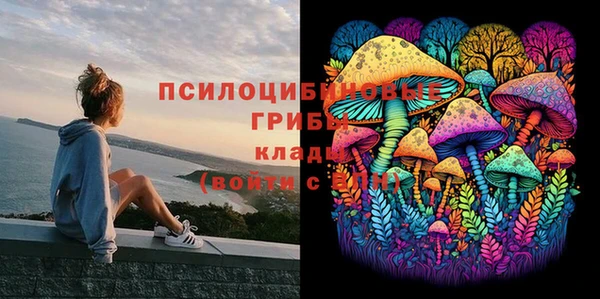 MDMA Premium VHQ Ладушкин