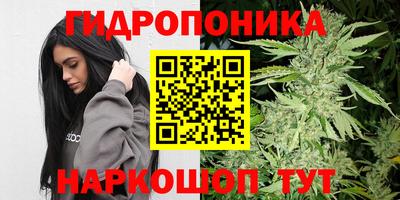 индика Конаково