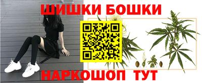индика Конаково